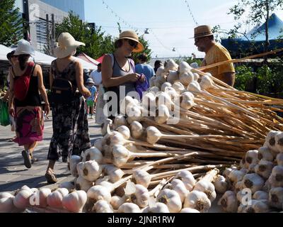 Scene dal mercato agricolo di Lansdowne Place. Aglio fresco stand - aglio accatastato alto! Ottawa, ONTARIO, Canada. Foto Stock