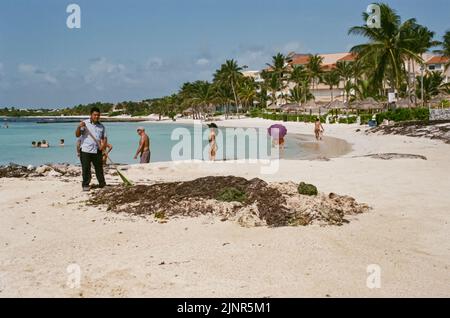 Un uomo su una spiaggia pulisce grandi quantità di alghe sargassum a Puerto Aventuras Quintana Roo, Messico, nell'agosto del 2022, mentre i turisti si godono la spiaggia. Foto Stock