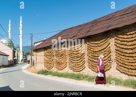 Ragazza villager a piedi lungo l'essiccazione di corde di tabacco su un fienile nel villaggio di Kostinci. Comune di Dolneni, Macedonia settentrionale. Foto Stock