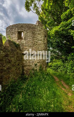 Le rovine del castello di Aberlleiniog, Isola di Anglesey, Galles del Nord Foto Stock