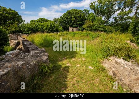 Le rovine del castello di Aberlleiniog, Isola di Anglesey, Galles del Nord Foto Stock