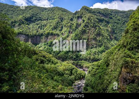 Verde paesaggio montano, isola di Réunion, Francia Foto Stock
