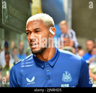 Brighton, Regno Unito. 13th ago, 2022. Joelinton di Newcastle United arriva per la partita della Premier League tra Brighton & Hove Albion e Newcastle United all'Amex il 13th 2022 agosto a Brighton, in Inghilterra. (Foto di Jeff Mood/phcimages.com) Credit: PHC Images/Alamy Live News Foto Stock