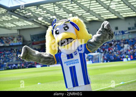 Brighton, Regno Unito. 13th ago, 2022. La mascotte di Brighton Sally prima della partita della Premier League tra Brighton & Hove Albion e Newcastle United all'Amex il 13th 2022 agosto a Brighton, Inghilterra. (Foto di Jeff Mood/phcimages.com) Credit: PHC Images/Alamy Live News Foto Stock