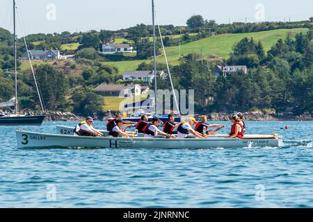 Schull, West Cork, Irlanda. 13th ago, 2022. Il 2022° Campionato irlandese di Rowing Coastal si svolgerà questo fine settimana a Schull, West Cork. All'evento che termina la domenica sera, partecipano in totale 290 equipaggi provenienti da diversi club. Credit: AG News/Alamy Live News Foto Stock