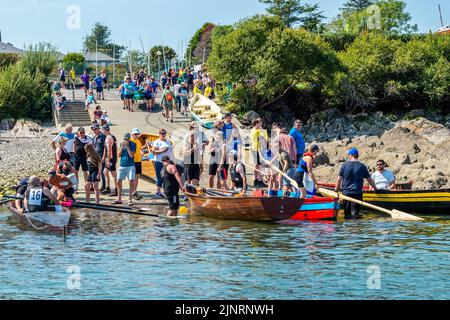 Schull, West Cork, Irlanda. 13th ago, 2022. Il 2022° Campionato irlandese di Rowing Coastal si svolgerà questo fine settimana a Schull, West Cork. All'evento che termina la domenica sera, partecipano in totale 290 equipaggi provenienti da diversi club. Credit: AG News/Alamy Live News Foto Stock