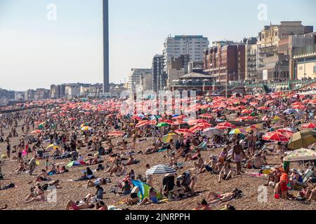 Brighton, Regno Unito. 13th ago, 2022. Migliaia di persone si sono recate a Brighton Beach questo sabato, sfruttando al meglio il caldo tempo. Un'immagine degli ombrelli rossi (sponsorizzati da Walls Ice Cream ) può essere vista allungando da Brighton lungo a Hove Credit: @Dmoonuk/Alamy Live News Foto Stock