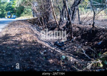 Stoke Poges, Buckinghamshire, Regno Unito. 13th agosto, 2022. Le conseguenze di un incendio a bordo strada a Stoke Poges che si è diffuso ieri in un campo vicino. Un rischio di incendio estremo rimane sul posto durante il fine settimana quando le temperature raggiungono i 37 gradi. Credit: Maureen McLean/Alamy Live News Foto Stock