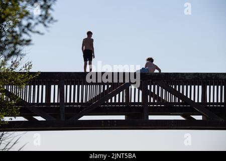 Dorney, Buckinghamshire, Regno Unito. 12th agosto, 2022. Giovani lapidazione da un ponte sul fiume Jubilee a Dorney in un'altra giornata calda e spaventosa. Credit: Maureen McLean/Alamy Live News Foto Stock