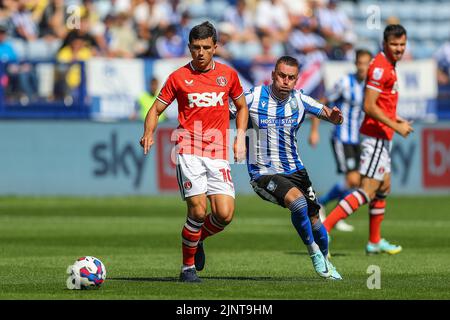 Sheffield, Regno Unito. 13th ago, 2022. Albie Morgan #10 di Charlton Athletic passa la palla a Sheffield, Regno Unito, il 8/13/2022. (Foto di Gareth Evans/News Images/Sipa USA) Credit: Sipa USA/Alamy Live News Foto Stock