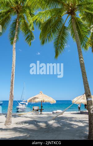 Amaca con palme in un cielo blu all'isola caraibica di Santa Lucia o Santa Lucia Foto Stock