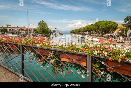 Peschiera del Garda - grazioso borgo con case colorate nel bel lago Lago di Garda – Provincia di Verona – regione Veneto – Italia settentrionale, Foto Stock