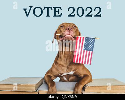 Elezioni negli Stati Uniti. Lovable, cane grazioso che tiene una bandiera americana. Primo piano, interno. Foto studio. Concetto di cura degli animali domestici. Bella carta di invito per Foto Stock