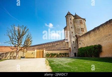 Albero morto nel cortile interno del castello di Blandy con grandi vecchie mura Foto Stock