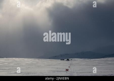 Un rifugio di emergenza sul sentiero di Kungselden tra Abisko e Nikkaluokta dopo una tempesta, Lapponia, Svezia Foto Stock