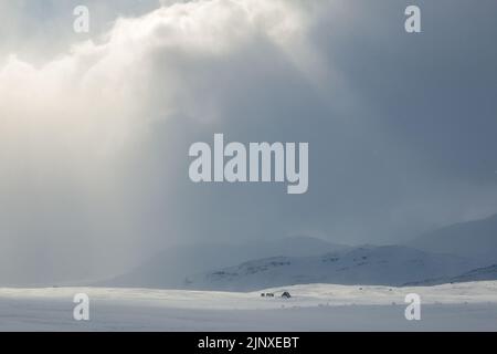 Un rifugio di emergenza sul sentiero di Kungselden tra Abisko e Nikkaluokta durante la stagione invernale dopo una tempesta di neve, Lapponia, Svezia Foto Stock