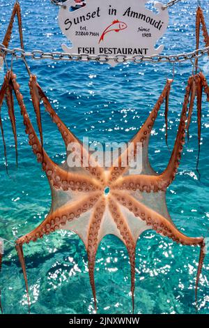 Squid/Octopus Hanging Up To Dry al di fuori Di Un ristorante a Ammoudi Bay, Oia, Santorini, Isole Greche, Grecia. Foto Stock