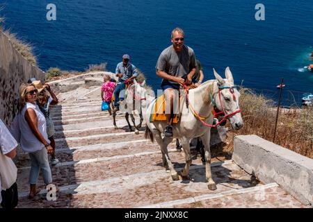 I turisti si recano lungo il ripido sentiero dal porto di Oia alla città di Oia con Donkey, Santorini, Isole Greche, Grecia. Foto Stock