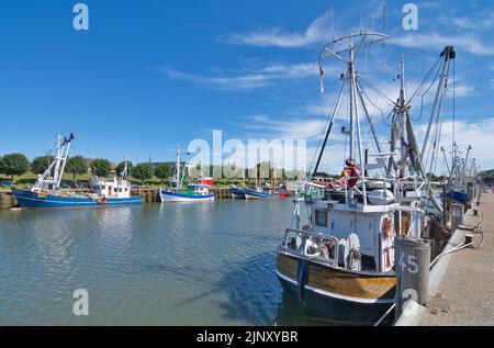 Barche di gamberi nel porto di Buesum al Mare del Nord, Frisia del Nord, Germania Foto Stock