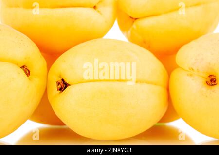 Diverse succose albicocche di ananas gialle, macro, isolate su sfondo bianco. Foto Stock