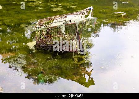 Bingen, Germania. 14th ago, 2022. Un carrello si stacca dal Reno vicino a Bingen. A causa della bassa acqua, numerosi oggetti che sono stati gettati in acqua resuscivano. Credit: Thomas Frey/dpa/Alamy Live News Foto Stock