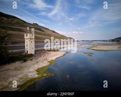 Bingen, Germania. 14th ago, 2022. L'isola del Reno, che ospita anche il Bingen Mäuseturm, è attualmente accessibile a piedi a causa della bassa acqua (foto aerea scattata con un drone). Tuttavia, l'amministrazione delle vie navigabili e delle spedizioni sottolinea che si tratta della loro sede e che l'accesso è vietato. Credit: Thomas Frey/dpa/Alamy Live News Foto Stock