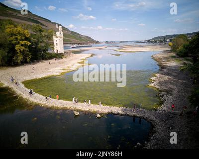 Bingen, Germania. 14th ago, 2022. L'isola del Reno, che ospita anche il Bingen Mäuseturm, è attualmente accessibile a piedi a causa della bassa acqua (fotografia aerea scattata con un drone). Tuttavia, l'amministrazione delle vie navigabili e delle spedizioni sottolinea che si tratta della loro sede e che l'accesso è vietato. Credit: Thomas Frey/dpa/Alamy Live News Foto Stock