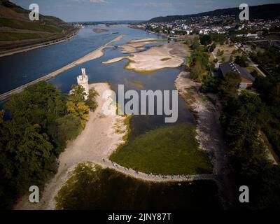 Bingen, Germania. 14th ago, 2022. L'isola del Reno, che ospita anche il Bingen Mäuseturm, è attualmente accessibile a piedi a causa della bassa acqua (fotografia aerea scattata con un drone). Tuttavia, l'amministrazione delle vie navigabili e delle spedizioni sottolinea che si tratta della loro sede e che l'accesso è vietato. Credit: Thomas Frey/dpa/Alamy Live News Foto Stock