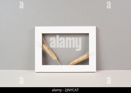 Grano raccolto in una cornice, copia spazio per il testo, crisi di carenza alimentare e aumento dei prezzi, paglia d'oro Foto Stock