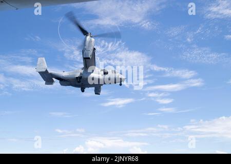 220812-N-XN177-1239 MARE DELLE FILIPPINE (AGO. 11, 2022) – un velivolo tiltrotor Osprey MV-22 assegnato a Marine Medium Tiltrotor Squadron (VMM) 262 (rinforzato) sorvola il portatore d'assalto anfibio USS Tripoli (LHA 7), 12 agosto 2022. Tripoli opera nell'area delle operazioni della flotta 7th degli Stati Uniti per migliorare l'interoperabilità con alleati e partner e fungere da pronta forza di risposta per difendere la pace e mantenere la stabilità nella regione dell'Indo-Pacifico. (STATI UNITI Foto Navy di Mass Communication Specialist 1st Classe Peter Burghart) Foto Stock