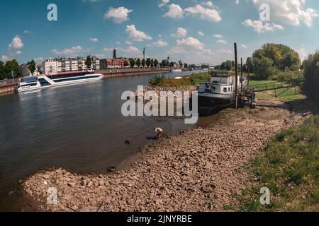 Le barche si asciugano sulla sabbia a causa del tempo secco nei Paesi Bassi (fiume Nederijn) Foto Stock