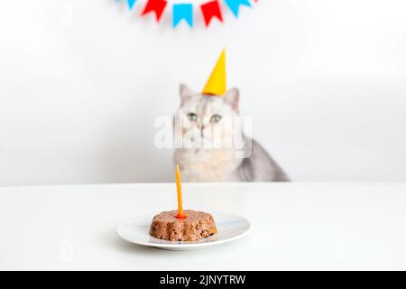 Carta Regalo Compleanno Gatti Central 23 - 6 Fogli 27x19", Riciclabile, Con Etichette, UK - Foto 7