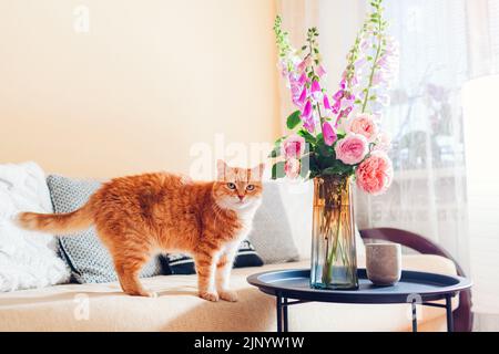 Gatto zenzero che cammina sul divano in soggiorno da bouquet di rose fresche e fiori di volpi in vaso. PET guarda la fotocamera. Interni e arredamento per la casa Foto Stock