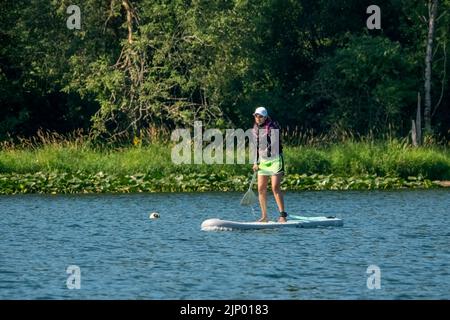 Issaquah, Washington, Stati Uniti. Donna in piedi su paddleboarding sul lago Sammamish. Foto Stock