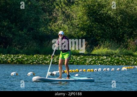 Issaquah, Washington, Stati Uniti. Donna in piedi su paddleboarding sul lago Sammamish. Foto Stock