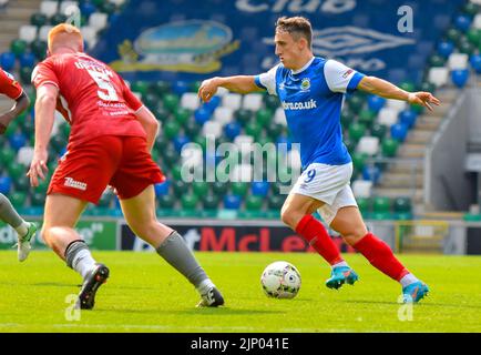 Joel Cooper in azione - Linfield Vs Portadown, Windsor Park Belfast, domenica 14th agosto 2022 Foto Stock