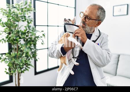 Uomo anziano grigio-capelli indossando veterinario uniforme tenendo chihuahua con colletto elisabettiano in clinica veterinario Foto Stock