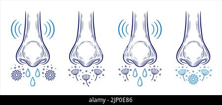 Allergia al polline rinite, naso che cola reazione allergica stagionale, icona febbre da fieno. Inalazione di polvere, allergeni in fiore. Gocce di Morve, vettore di infiammazione nasale Illustrazione Vettoriale