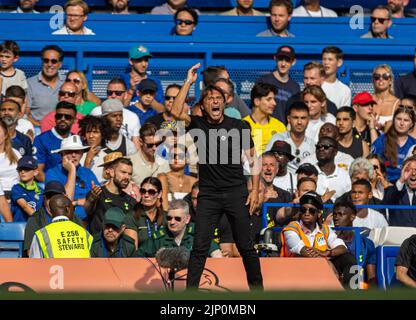 Londra, Regno Unito. 15th ago, 2022. Antonio Conte, il manager di Tottenham Hotspur, gesta durante la partita della Premier League inglese tra Chelsea e Tottenham Hotspur a Londra, in Gran Bretagna, il 14 agosto 2022. Il gioco si è concluso con un pareggio di 2-2. Credit: Notizie dal vivo su Xinhua/Alamy Foto Stock