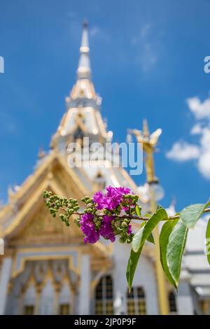 l'immagine closeup del fiore viola. Il bokeh sfondo è Wat Sothonwararam è un tempio nella provincia di Chachoengsao, Thailandia. Foto Stock