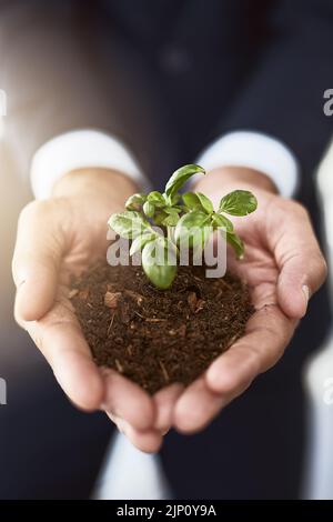 Prendalo da terra in su. Primo piano di un uomo d'affari irriconoscibile che tiene una pianta che cresce nel suolo. Foto Stock