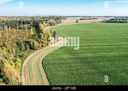 paesaggio di campagna con strada tortuosa tra il campo verde e la foresta. vista aerea dall'alto. Foto Stock