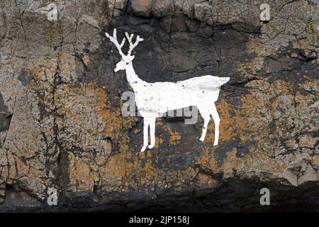 White Stag Painted on the Rocks of Blackrock Point (noto anche come Stag Rocks), Bamburgh, Northumberland, Regno Unito Foto Stock