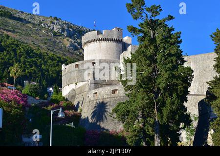 Miceta torre a Dubrovnik vecchie mura della città, Croazia Foto Stock