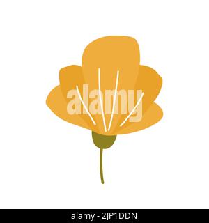 Carino fiore giallo isolato su sfondo bianco. Illustrazione vettoriale in stile piatto disegnato a mano. Perfetto per carte, logo, decorazioni, disegni primaverili ed estivi. Clipart botaniche. Illustrazione Vettoriale