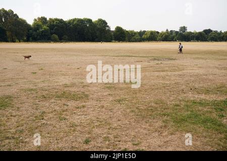 La gente cammina il proprio cane sull'erba arroccata al St Nicholas' Park a Warwick, mentre il Regno Unito si innaffia per tre giorni di pioggia e avvertimenti meteo gialli. Data immagine: Lunedì 15 agosto 2022. Foto Stock