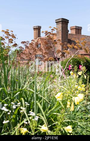 Grande Dixter casa e giardini, Northiam, Rye, East Sussex, finocchio gigante (Ferula Communis) teste di semi Foto Stock