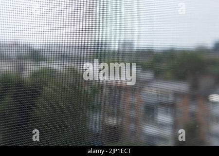 Vista sfocata della città attraverso una rete di insetti su una finestra di casa o appartamento. Una zanzariera. Protezione di alloggiamento da insetti. Sicurezza. Foto Stock