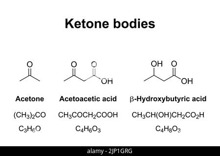 Corpi chetonici, formule chimiche. Molecole idrosolubili, che contengono gruppi chetonici, prodotte da acidi grassi dal fegato mediante chetogenesi. Foto Stock