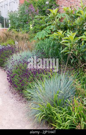 Il giardino Paradiso a RHS Bridgewater, Worsley, Greater Manchester, Inghilterra. Foto Stock